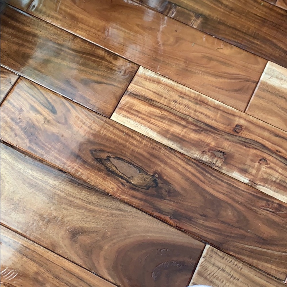 Meet your Posher, Diana